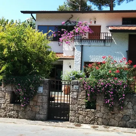 Villa Con Giardino Marina Di Pietrasanta Marina di Pietrasanta